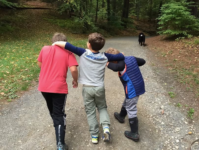 Three children walking together on a wooded trail